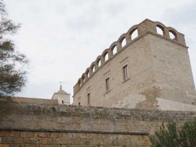 Ad arricchire la struttura c�� poi una particolare balaustra con andamento ad arco posta in alto tra la chiesa e il convento...